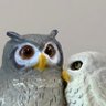 美祢 profil fotoğrafı