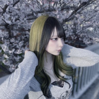 usagi_shinkai's profile picture