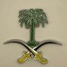 Profilbild von سليل المجد 🇸🇦🇸🇦🇸🇦🇸🇦🇸🇦