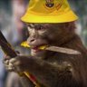 barcehincha profil fotoğrafı