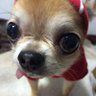 Фото профиля 後退が止まらない
