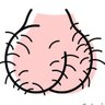 LixosEscrotos's profile picture