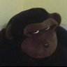 Profilbild von jof alf