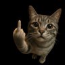 Profilbild von KHLL