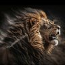 Фото профиля D.A.alslman
