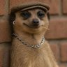 Profilbild von The Provost