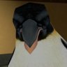 Profilbild von Ns-j