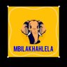 Mbilakhahlela🐘's profile picture