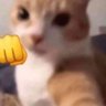 empanadas's profile picture