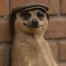 Profilbild von thiswarriboi