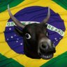 Canal do Gado Tupiniquim's profile picture