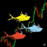 Trade2Fish's profile picture