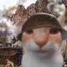 Profilbild von vivo vix