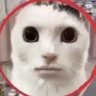 Profilbild von Avisuper_ps