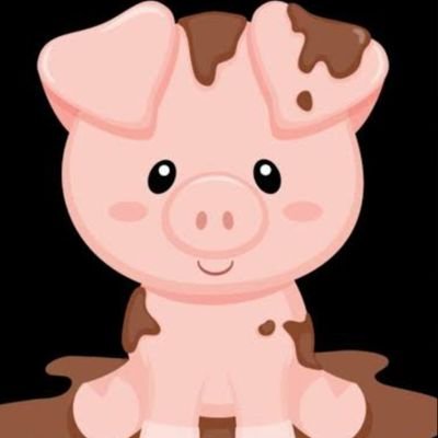 Bpigzinho's profile picture
