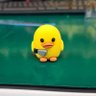 Фото профиля Duck