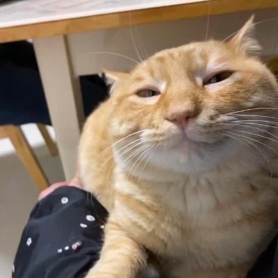 _RocBottom's profile picture