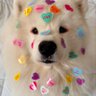 พิ้วพิ้ว🍦 profil fotoğrafı