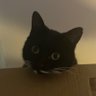 Kat's profile picture