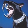 Fivoo's profile picture