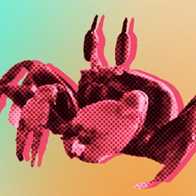 co_ma41's profile picture