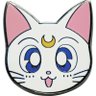 Profilbild von Artemis Lechat