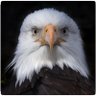 Profilbild von Kaya