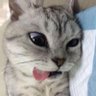 mn profil fotoğrafı