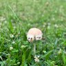 わろくん profil fotoğrafı