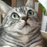 らら's profile picture
