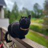 Profilbild von NatgirlBTC