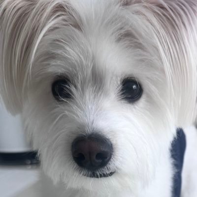millionbolt's profile picture