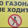 Газон Засеян's profile picture