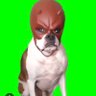 Greg's profile picture