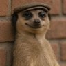 Bade Miyan's profile picture