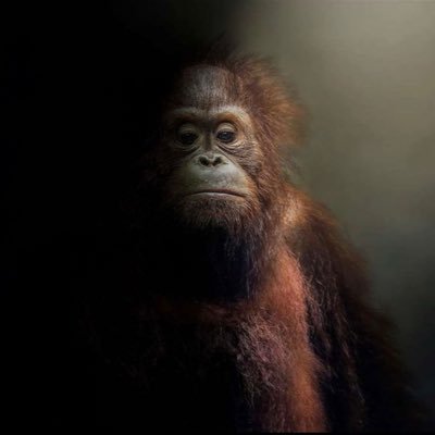 CoachKav44's profile picture