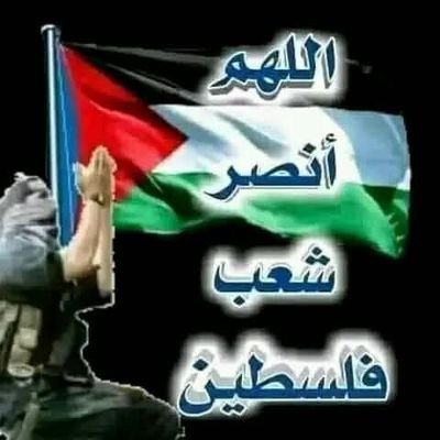 assifaruk58's profile picture