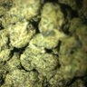 Фото профиля BLACKFYRE800