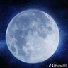 Lune profil fotoğrafı