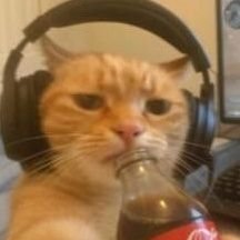 deltinhaproject's profile picture