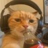 Profilbild von nati