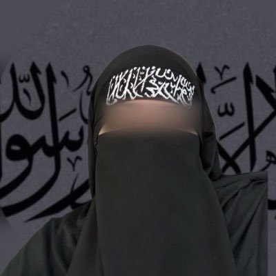 حنفی نینجا's profile picture