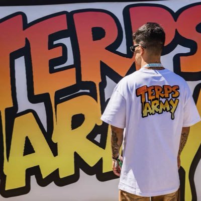 Lorenzo TerpsArmy's profile picture