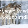 Kerim K.AVCI 🇹🇷🇹🇷🇹🇷's profile picture