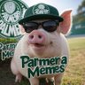 ParmeraMemes's profile picture