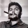 Profilbild von D Kamel Eddine
