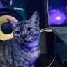 Yopa's profile picture