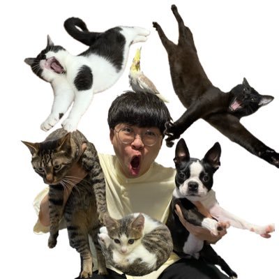 ノビター（5匹家族）'s profile picture