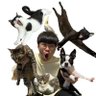 ノビター(5匹家族) profil fotoğrafı