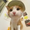 chess's profile picture